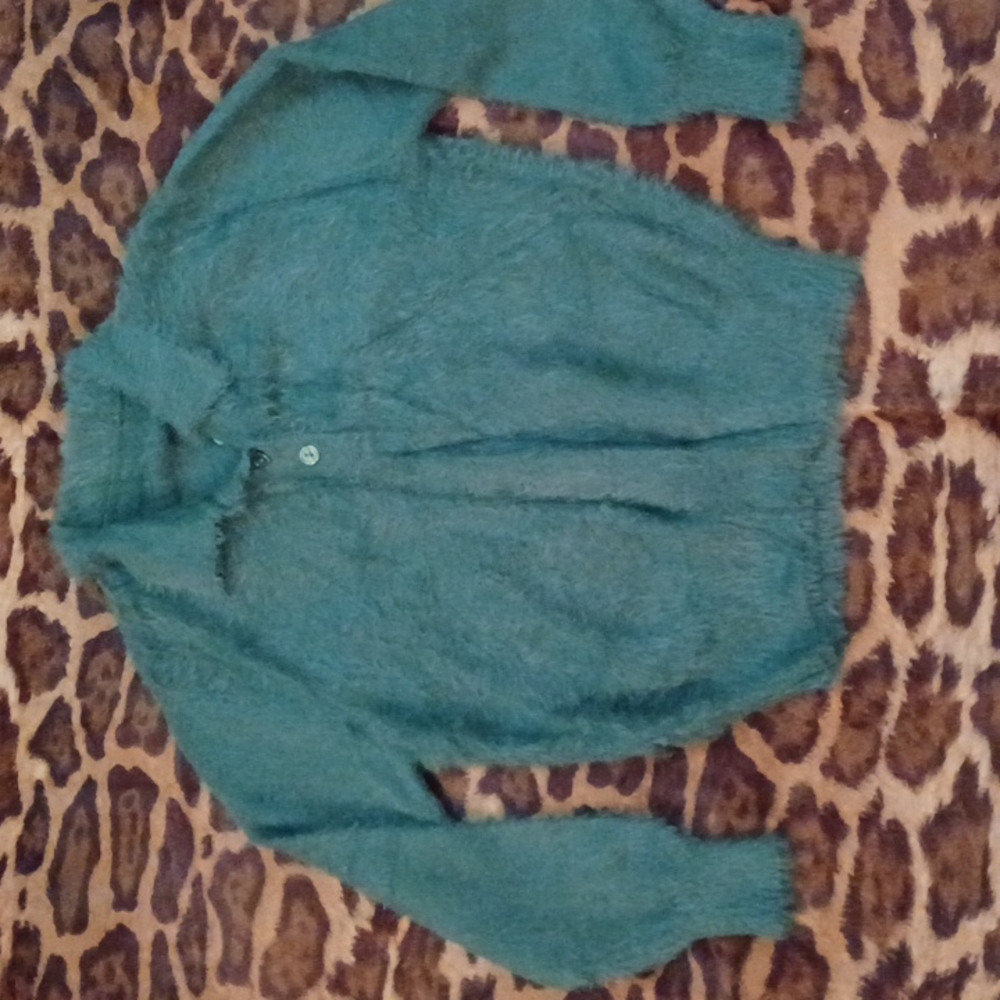 Fuzzy Zara sweater